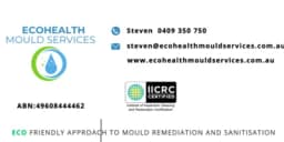 EcoHealth Mould Services