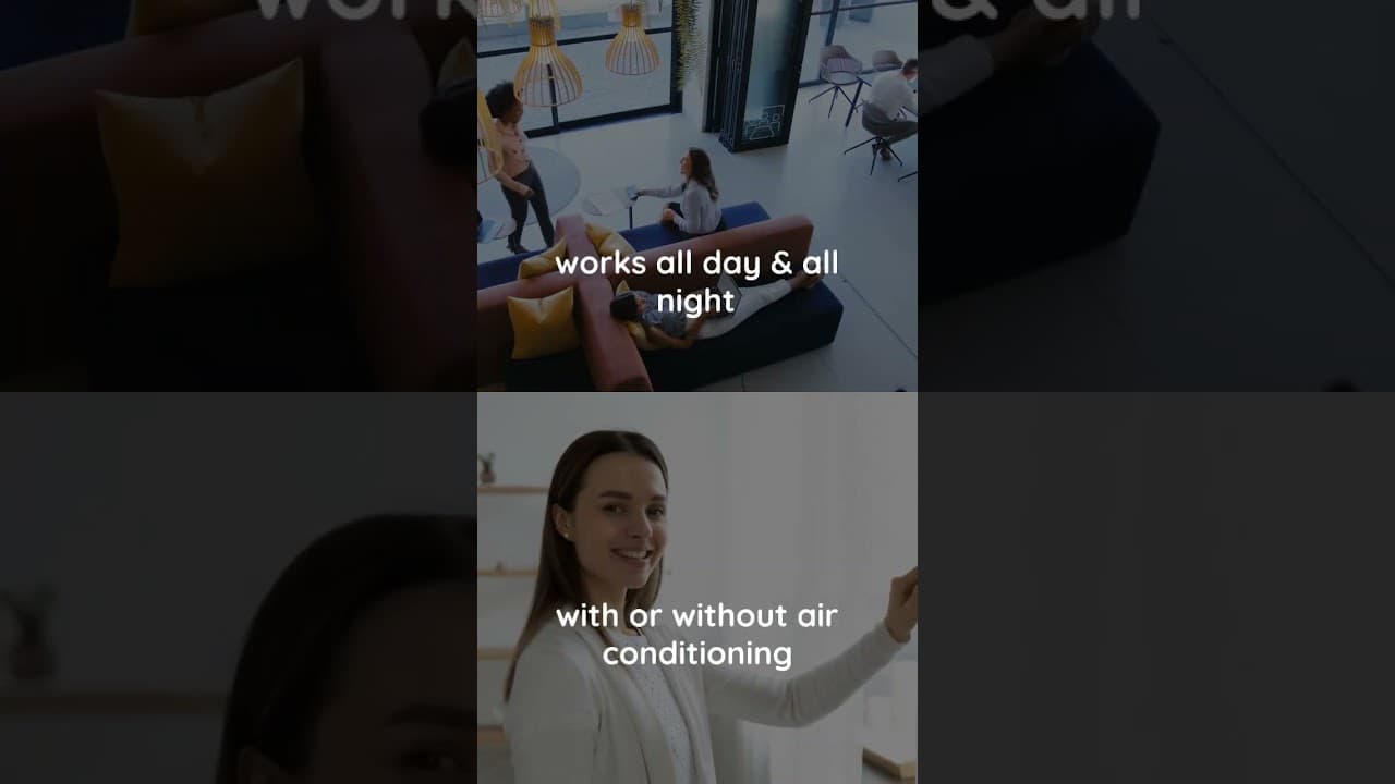 Professional Mould Removal