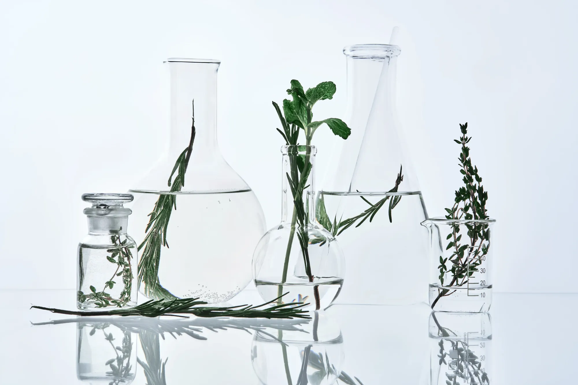 Laboratory glassware with botanical herbs — natural science behind SAN-AIR technology