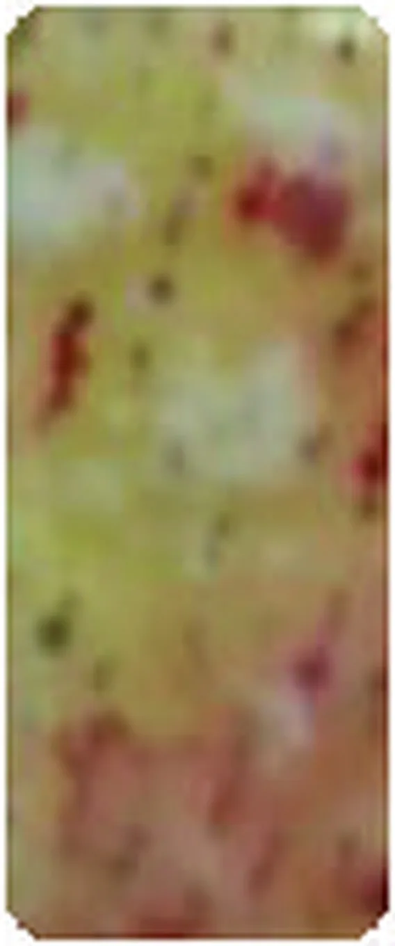 Mould reading before treatment