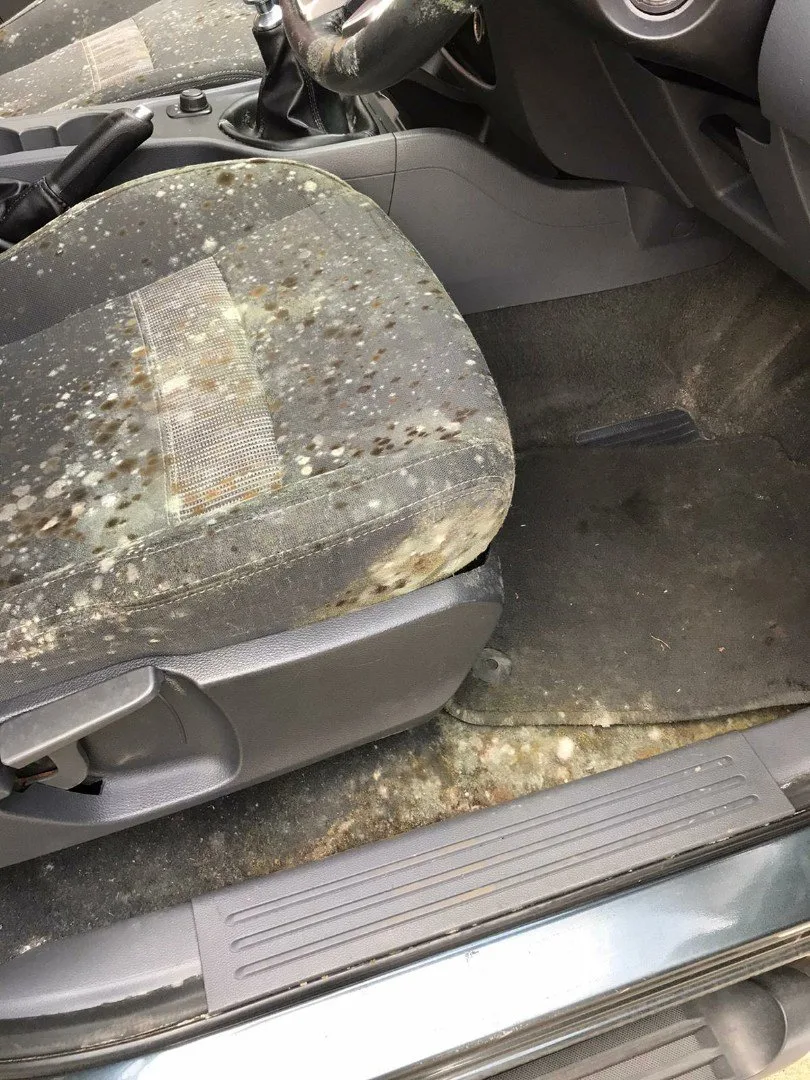 Restored car interior